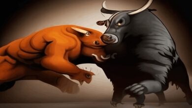 Stock market sensex niftys movement deteriorated 2