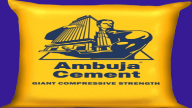 Ambuja-cement. Png