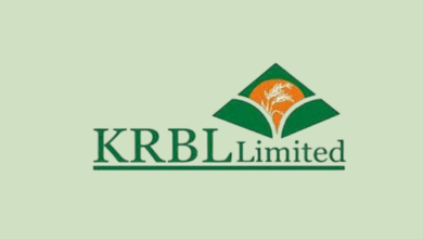 Krbl limited shares