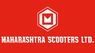 Maharashtra scooters ltd