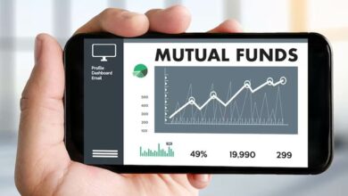 Mutual fund lite