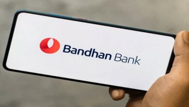 Bandhan bank share