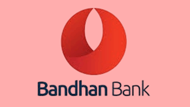 Bandhan bank stock price