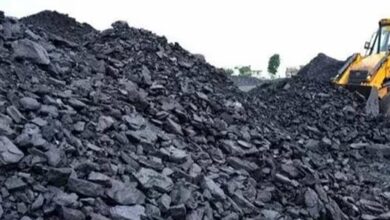 Coal india