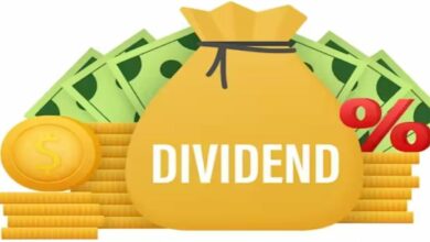 Dividend stock