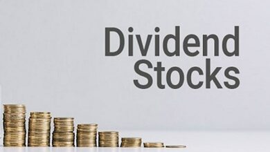 Dividend stock