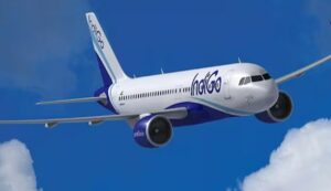 Indigo share price