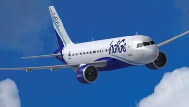 Indigo share price