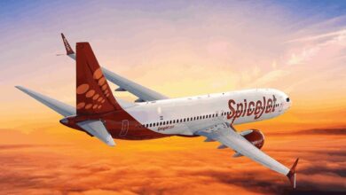 Spicejet share