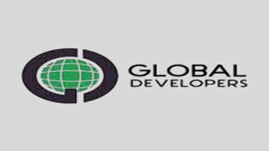 Global developers share