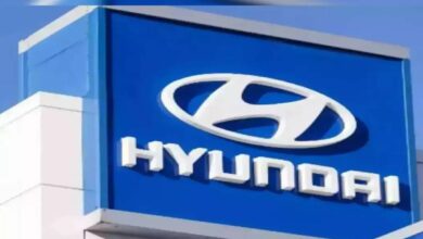 Hyundai motor india share