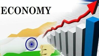 Indian economic activities