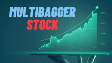 Multibagger stock