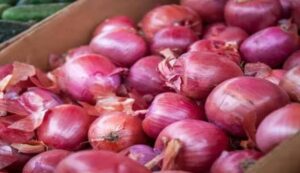 Onion prices