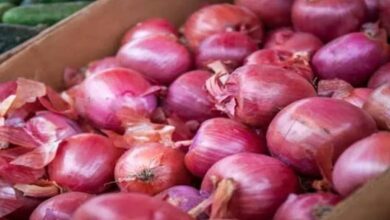 Onion prices