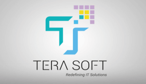 Tera software share