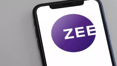 Zeel share price