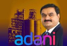 Adani group