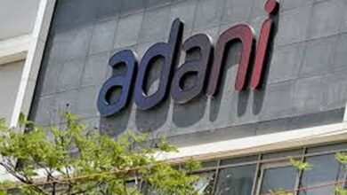 Adani stocks