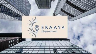 Eraaya Lifespaces Ltd share