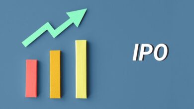 Ipo investment tips