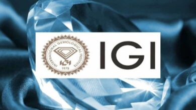 International Gemmological Institute IPO