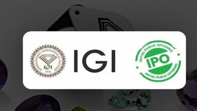 International Gemmological Institute IPO