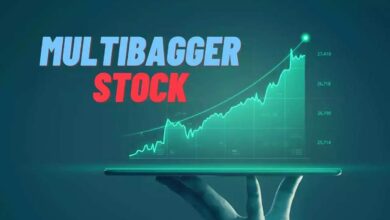 Multiabgger stocks 2024