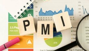 PMI Data