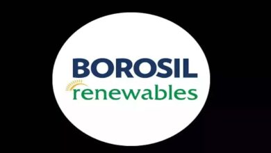 Borosil renewables share