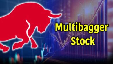 Multibagger stock