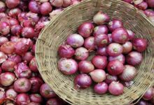 Onion price