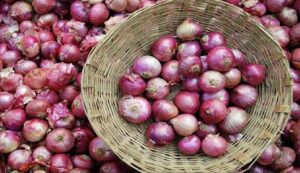 Onion price