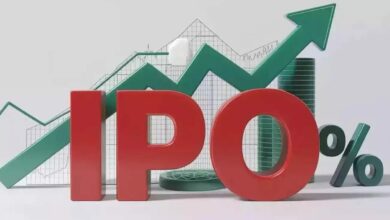 Ravi infrabuild projects ipo