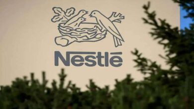 Nestle india share