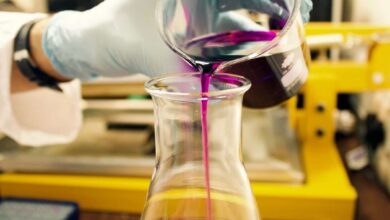 Lords chloro alkali ltd. Shares