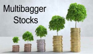 Multibagger stock