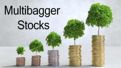Multibagger stock