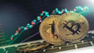 Global crypto market 2025