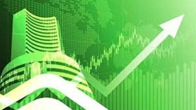Indian stock market pulse