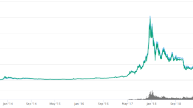 Us crypto market 2025