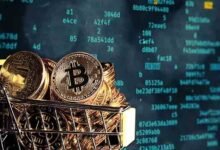 Us crypto market 2025