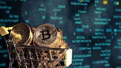 Us crypto market 2025