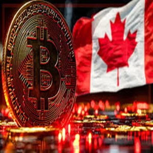 Canada crypto market 2026 updat