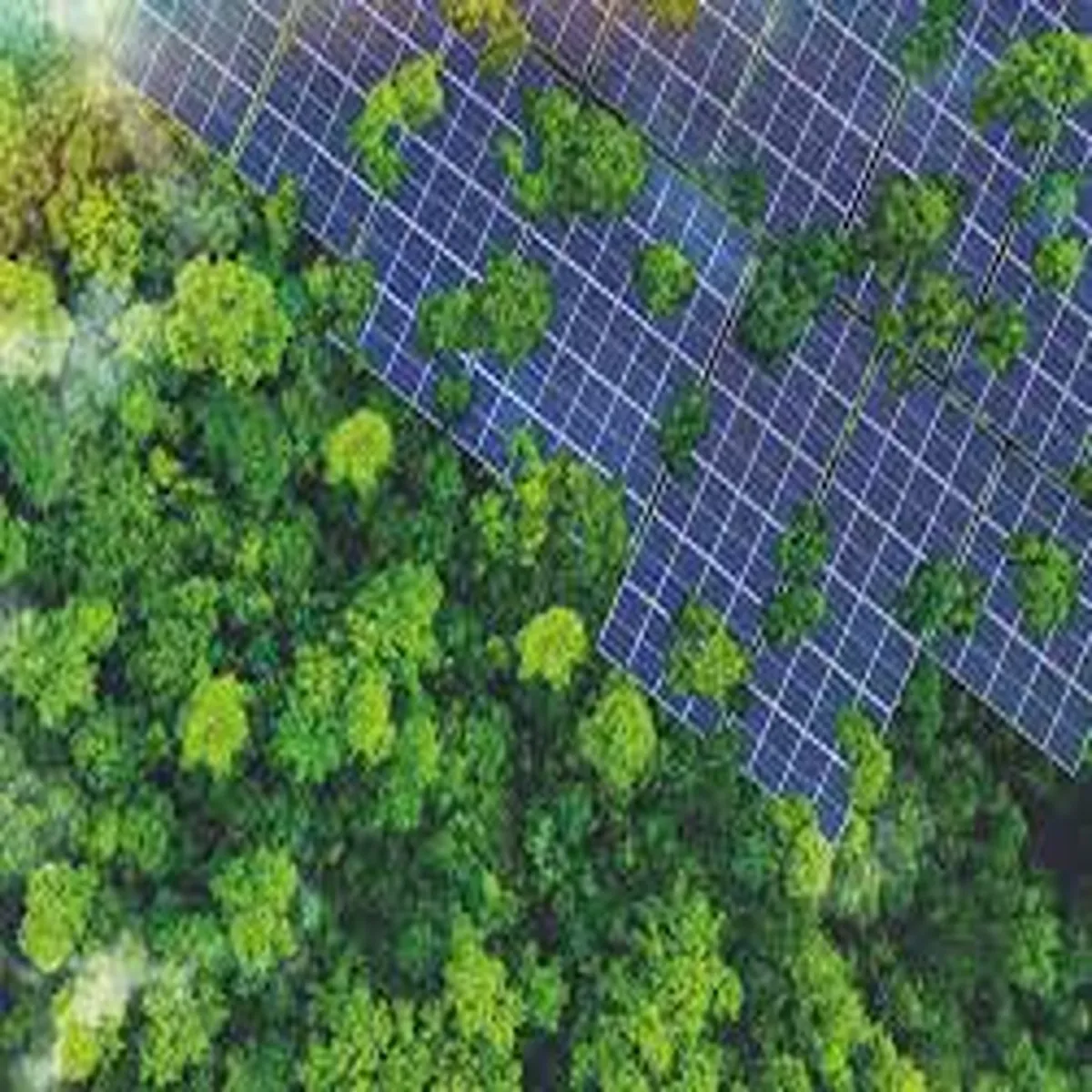 Canada small business boom 2026 how