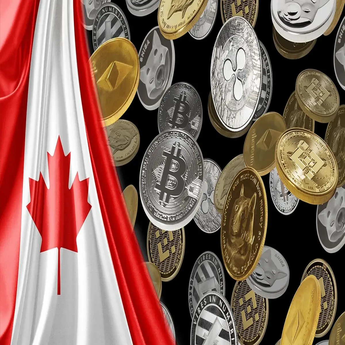 Canada crypto market 2026 why bitcoin